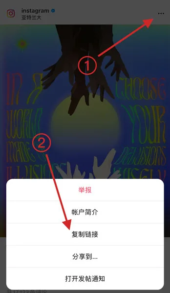 第二步：去 Instagram 网站或 App 里复制想要下载的内容分享链接