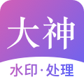 大神水印 logo