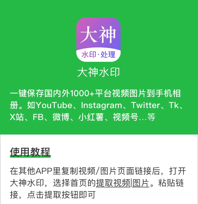 大神水印 App：一键保存 YouTube、Instagram、Twitter、抖音、微博、小红书、视频号等 1000+ 平台的视频图片到手机相册