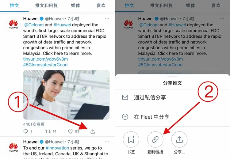 第二步：去 Twitter 网站或 App 里复制想要下载的包含视频图片的推文链接
